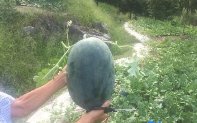 Yinlu Zhuyun Guesthouse