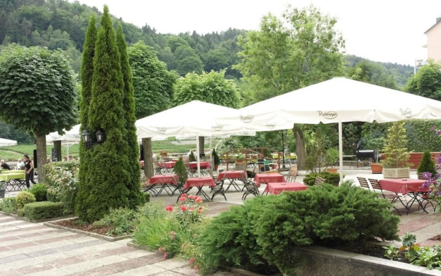 Elbhotel Bad Schandau