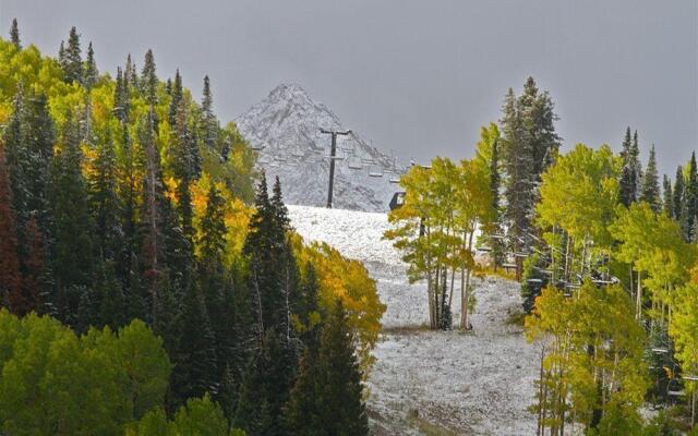 Paradise Condos - Crested Butte Mountain Rentals