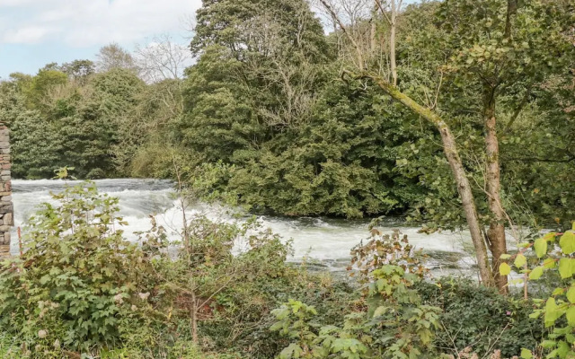 Watch Tree Apartment