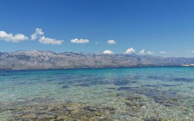 Apartments Villa Venera