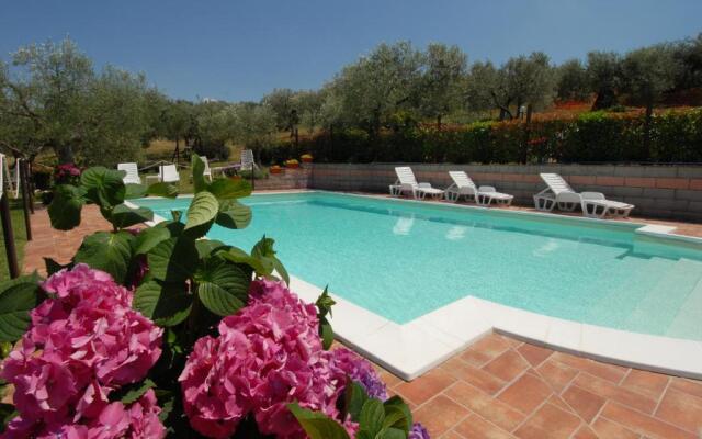 La Piaggiola degli Olivi