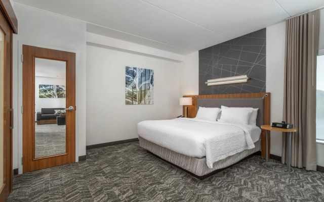 SpringHill Suites by Marriott Chattanooga Downtown/Cameron Harbor
