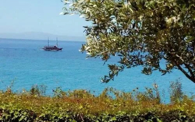 Avia Holiday Homes