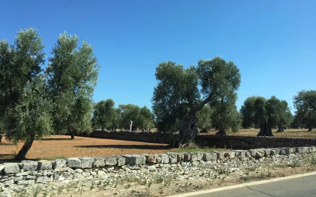 Trullo Mimmo