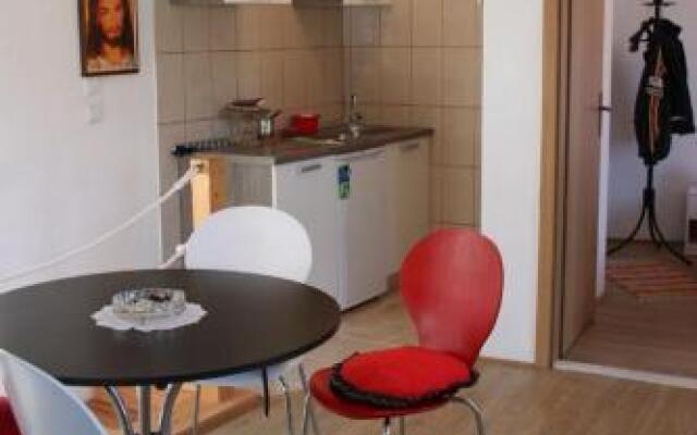 Apartment Branka