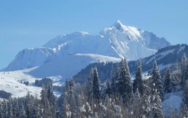 Stylish Chalet in Charming Megeve