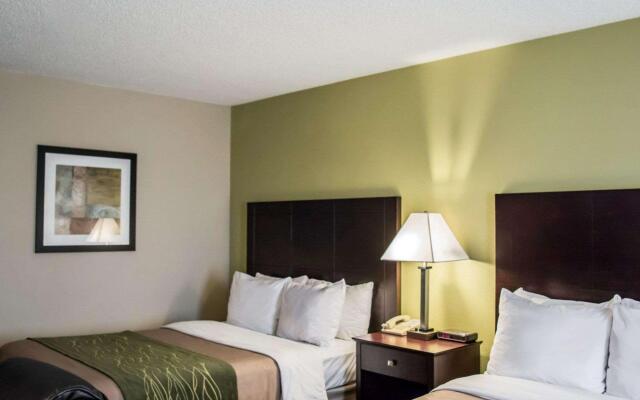 Comfort Inn & Suites St. Pete - Clearwater International Airport