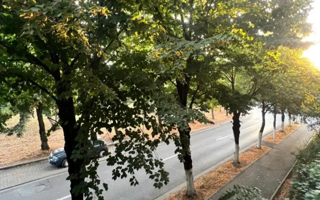 Miha modern and central apartament Malul Mureșului