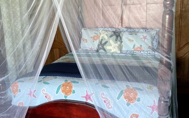 Dolphin Bay Hideaway