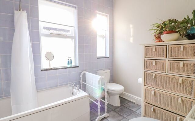 Ivy Mount