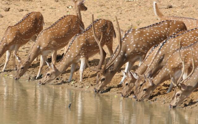 Wild Trails Yala Tented Safari Camp By Yoho