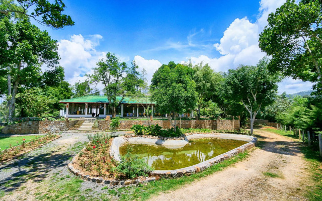 The Tea Tree Resort