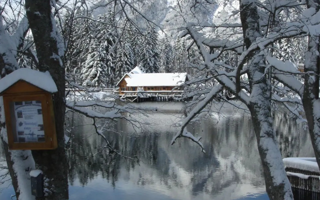 Splendid Chalet In Hohentauern With Whirlpool For 140