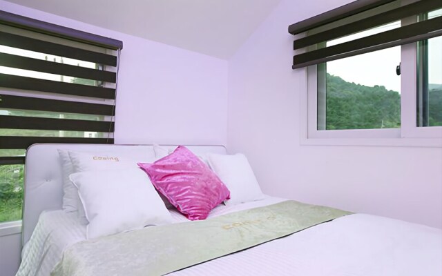 Gapyeong Ku Ing Spa Pension