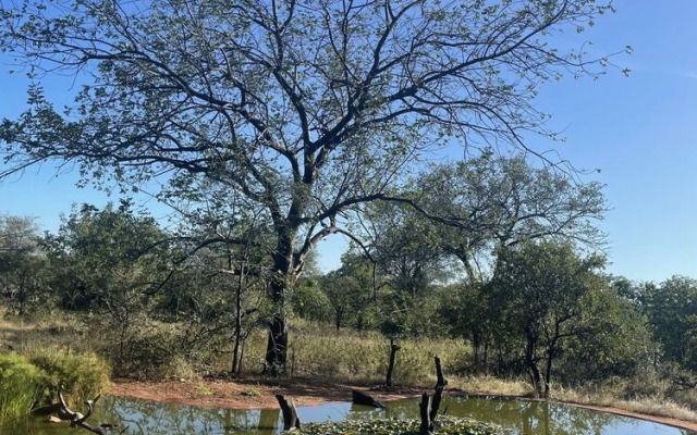 Thula Private Lodge
