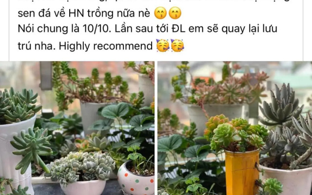 Selena Dalat Homestay