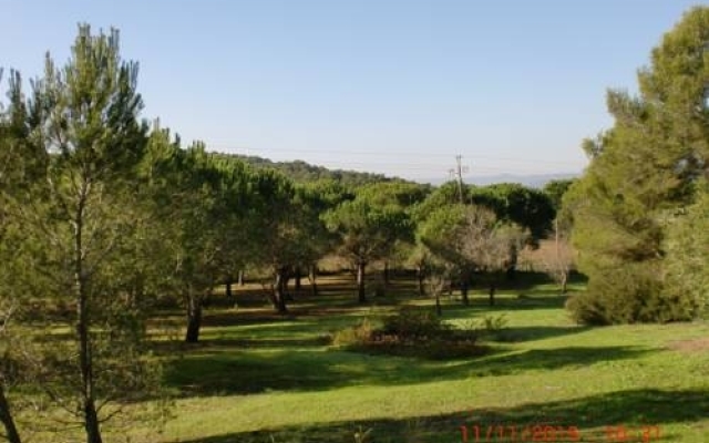 Bed and Breakfast Puig Gros