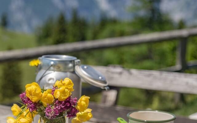 To Fall In Love - Chalet Zlatica - Velika Planina