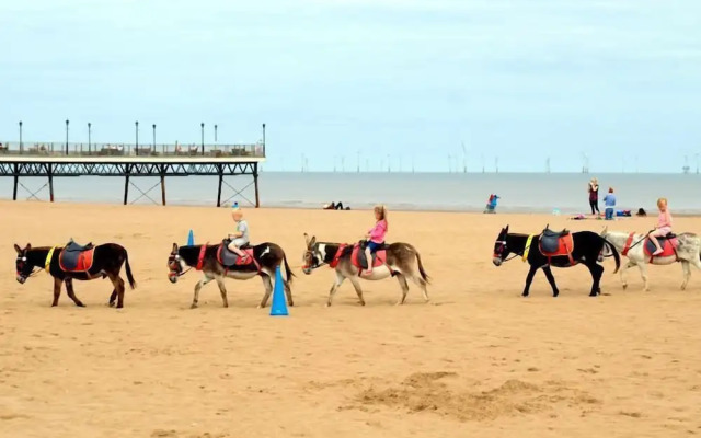 Tranquil Holiday Home Skegness