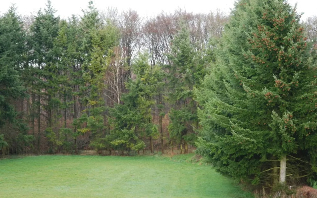 Modern Apartment in Bolsdorf With Sauna