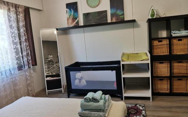 Scandinavian City Apartment