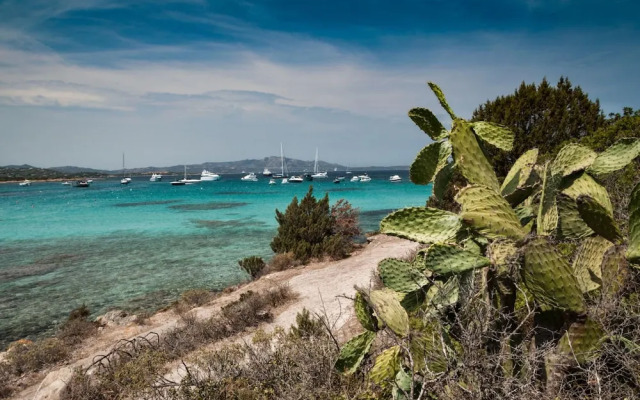 Gli Allori in Golfo Aranci
