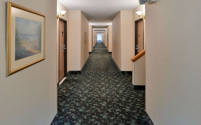 Bellis Inn