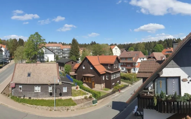 Holiday Apartment Harz View