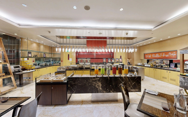 Radisson Blu Marina  Connaught Place