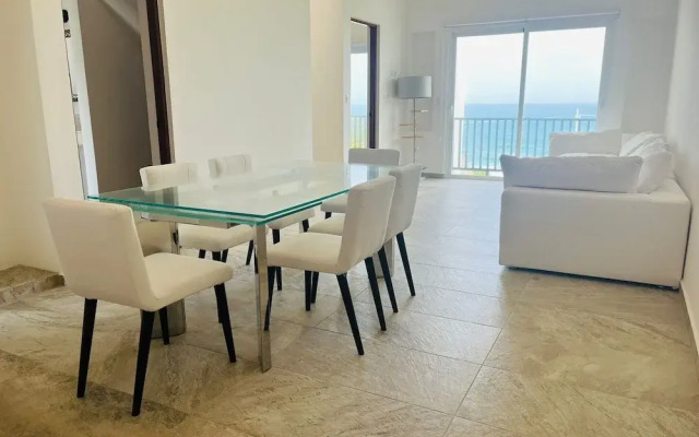 La Diosa Condos penthouse w plunge pool