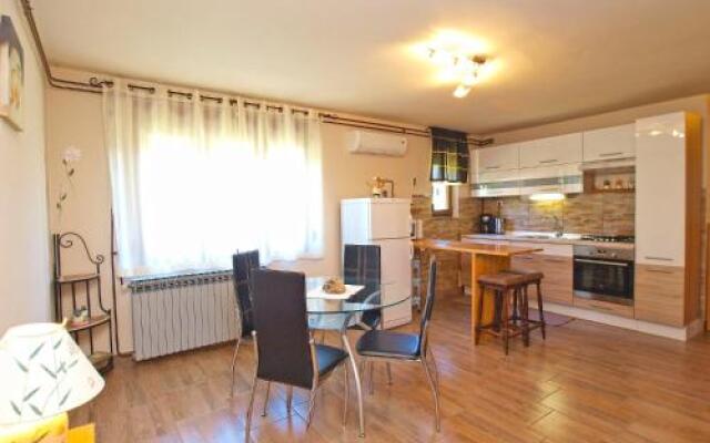 Apartments Dragica 1312