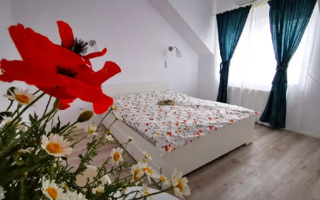 Pensiunea La Matraguna