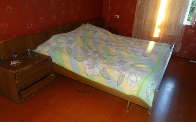 Guest house Alexy