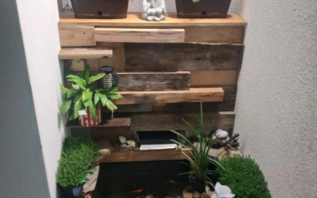 VOYAGE CUBIC Adults Only