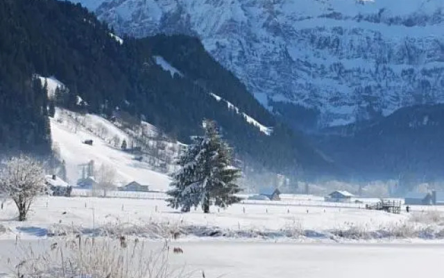 Apartment Kronenplatz 7 # 3