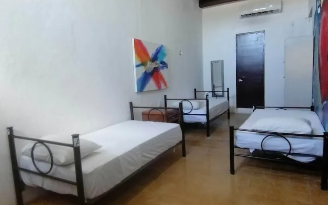 Siesta Fiesta Hostel