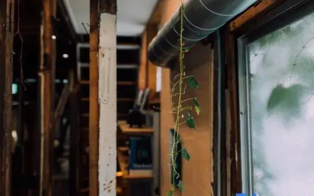 Ivy Place Harajuku: Urban Steel Teahouse