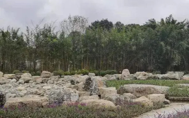 Qi Ming Xing Hot Spring Hotel