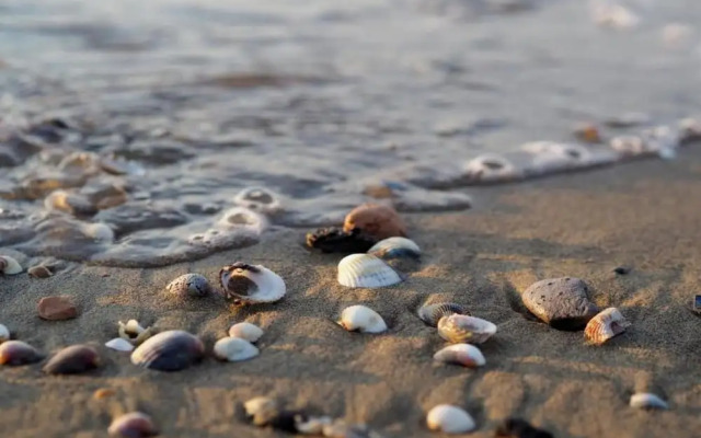 Holiday Home in Caorle Near Spiaggia Tartaruga