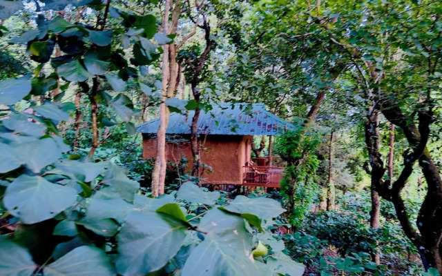 Thennal Jungle Camp Pvt Ltd
