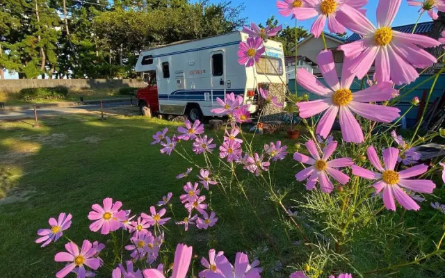 Unity Kix Beach Resort