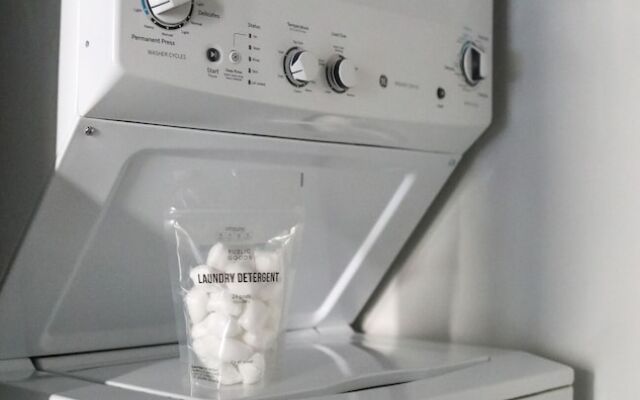 The Grant by Black Swan