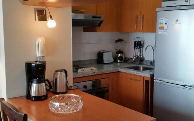 Departamentos Amoblados Costa Bellas Artes