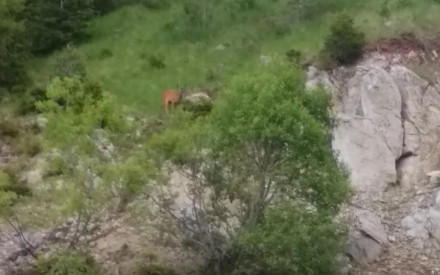 Snow Dreams 1 Grand Monastery