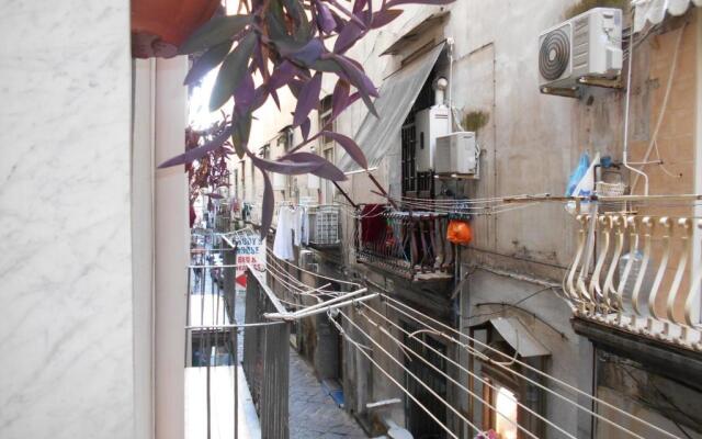 Robbys House Bed & Breakfast