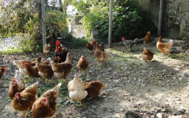 Tourist farm Tonin