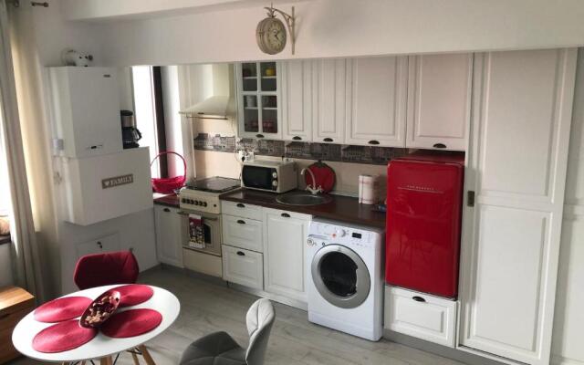 Vintage Apartment Suceava