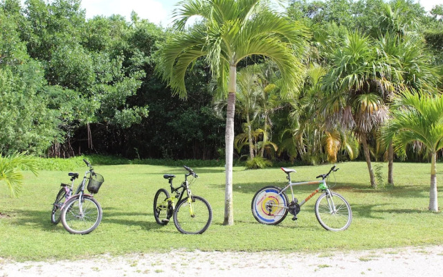 Puerta del Mar Cozumel