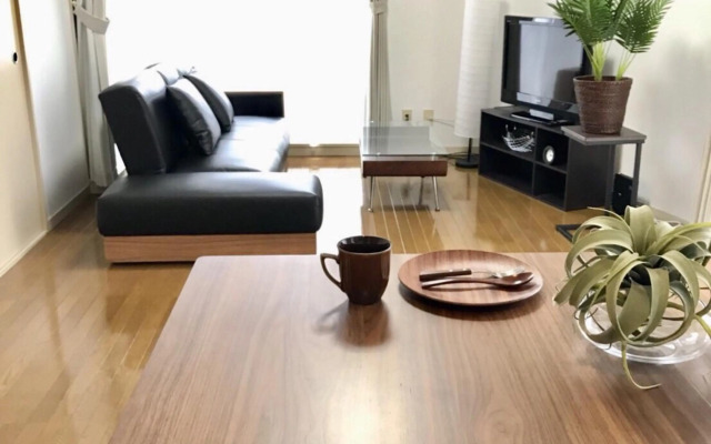 PEARL KAMINOBORI F Plus